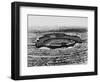 Los Angeles: Stadium, 1962-null-Framed Giclee Print