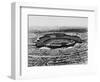 Los Angeles: Stadium, 1962-null-Framed Giclee Print