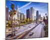 Los Angeles-null-Mounted Art Print