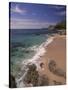 Los Cabos Beach, Cabo San Lucas, Mexico-Walter Bibikow-Stretched Canvas