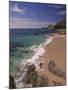 Los Cabos Beach, Cabo San Lucas, Mexico-Walter Bibikow-Mounted Photographic Print