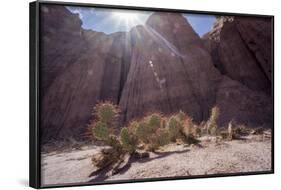 Los Colorados, Salta Region, Argentina-Peter Groenendijk-Framed Photographic Print