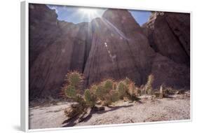 Los Colorados, Salta Region, Argentina-Peter Groenendijk-Framed Photographic Print