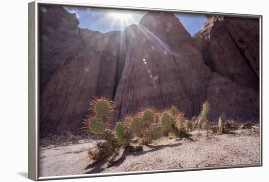 Los Colorados, Salta Region, Argentina-Peter Groenendijk-Framed Photographic Print