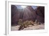 Los Colorados, Salta Region, Argentina-Peter Groenendijk-Framed Photographic Print