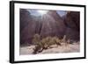 Los Colorados, Salta Region, Argentina-Peter Groenendijk-Framed Photographic Print