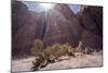 Los Colorados, Salta Region, Argentina-Peter Groenendijk-Mounted Photographic Print