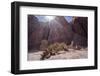 Los Colorados, Salta Region, Argentina-Peter Groenendijk-Framed Photographic Print