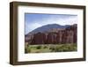 Los Colorados, Salta Region, Argentina-Peter Groenendijk-Framed Photographic Print