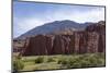 Los Colorados, Salta Region, Argentina-Peter Groenendijk-Mounted Photographic Print