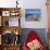 Los Cristianos, Tenerife, Canary Islands, Spain, Atlantic, Europe-Jeremy Lightfoot-Stretched Canvas displayed on a wall