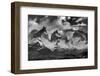 Los Cuernos, Cordillera Paine, Chile-Art Wolfe Wolfe-Framed Photographic Print