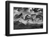 Los Cuernos, Cordillera Paine, Chile-Art Wolfe Wolfe-Framed Photographic Print
