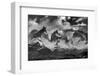 Los Cuernos, Cordillera Paine, Chile-Art Wolfe Wolfe-Framed Photographic Print