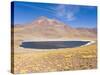 Los Flamencos National Reserve, Atacama Desert, Antofagasta Region, Norte Grande, Chile-Gavin Hellier-Stretched Canvas