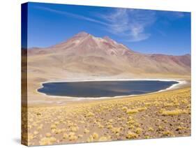 Los Flamencos National Reserve, Atacama Desert, Antofagasta Region, Norte Grande, Chile-Gavin Hellier-Stretched Canvas