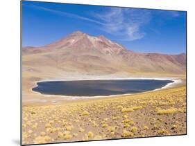 Los Flamencos National Reserve, Atacama Desert, Antofagasta Region, Norte Grande, Chile-Gavin Hellier-Mounted Photographic Print