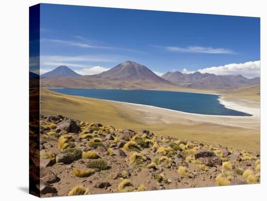 Los Flamencos National Reserve, Atacama Desert, Antofagasta Region, Norte Grande, Chile-Gavin Hellier-Stretched Canvas