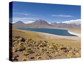 Los Flamencos National Reserve, Atacama Desert, Antofagasta Region, Norte Grande, Chile-Gavin Hellier-Stretched Canvas