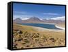 Los Flamencos National Reserve, Atacama Desert, Antofagasta Region, Norte Grande, Chile-Gavin Hellier-Framed Stretched Canvas