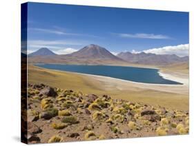 Los Flamencos National Reserve, Atacama Desert, Antofagasta Region, Norte Grande, Chile-Gavin Hellier-Stretched Canvas