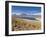 Los Flamencos National Reserve, Atacama Desert, Antofagasta Region, Norte Grande, Chile-Gavin Hellier-Framed Photographic Print