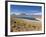 Los Flamencos National Reserve, Atacama Desert, Antofagasta Region, Norte Grande, Chile-Gavin Hellier-Framed Photographic Print