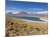 Los Flamencos National Reserve, Atacama Desert, Antofagasta Region, Norte Grande, Chile-Gavin Hellier-Mounted Photographic Print