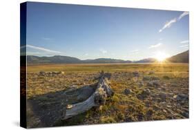 Los Glaciares National Park, Argentina-Peter Groenendijk-Stretched Canvas