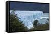 Los Glaciares National Park, Argentina-Peter Groenendijk-Framed Stretched Canvas