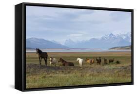 Los Glaciares National Park, Patagonia, Argentina-Peter Groenendijk-Framed Stretched Canvas