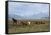 Los Glaciares National Park, Patagonia, Argentina-Peter Groenendijk-Framed Stretched Canvas