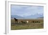 Los Glaciares National Park, Patagonia, Argentina-Peter Groenendijk-Framed Photographic Print