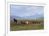 Los Glaciares National Park, Patagonia, Argentina-Peter Groenendijk-Framed Photographic Print