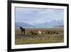 Los Glaciares National Park, Patagonia, Argentina-Peter Groenendijk-Framed Photographic Print