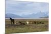 Los Glaciares National Park, Patagonia, Argentina-Peter Groenendijk-Mounted Photographic Print