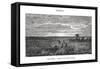 Los Llanos, Venezuela, 19th Century-Edouard Riou-Framed Stretched Canvas