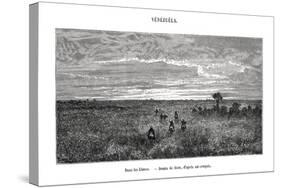 Los Llanos, Venezuela, 19th Century-Edouard Riou-Stretched Canvas