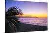 Los Muertos Beach Sunset, Puerto Vallarta, Mexico-George Oze-Stretched Canvas