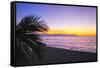 Los Muertos Beach Sunset, Puerto Vallarta, Mexico-George Oze-Framed Stretched Canvas