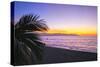 Los Muertos Beach Sunset, Puerto Vallarta, Mexico-George Oze-Stretched Canvas