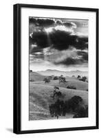 Los Olivo, California-null-Framed Art Print