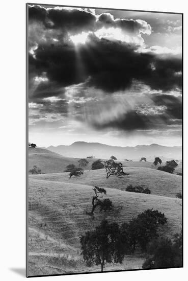 Los Olivo, California-null-Mounted Art Print