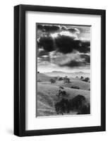 Los Olivo, California-null-Framed Art Print