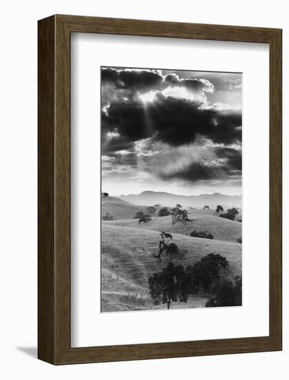 Los Olivo, California-null-Framed Art Print