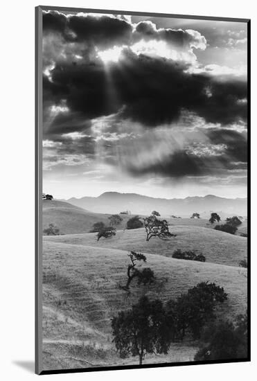 Los Olivo, California-null-Mounted Art Print