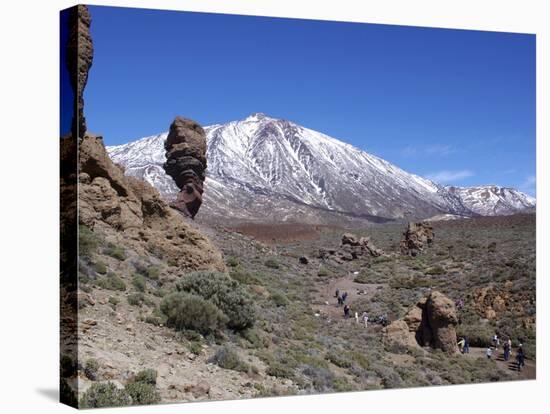 Los Roques and Mount Teide, Teide National Park, Tenerife, Canary Islands, Spain-Jeremy Lightfoot-Stretched Canvas