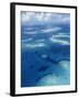 Los Roques, Venezuela-null-Framed Photographic Print