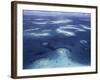 Los Roques, Venezuela-null-Framed Photographic Print