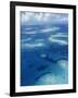 Los Roques, Venezuela-null-Framed Photographic Print